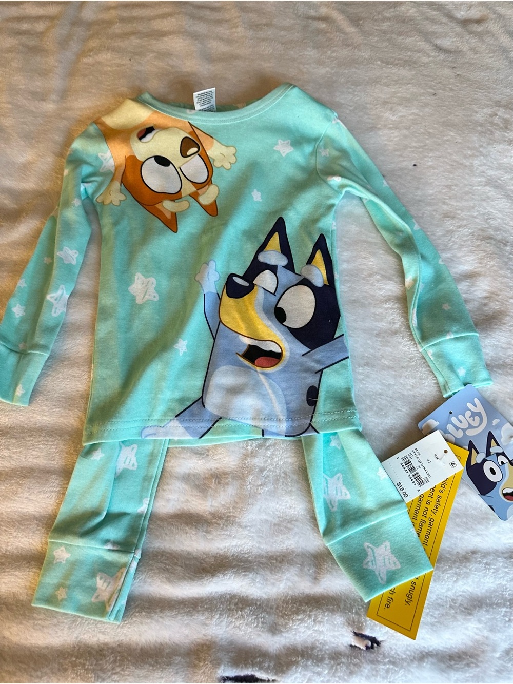 Bluey Mint-Green Kids Pajama Set with Character Print